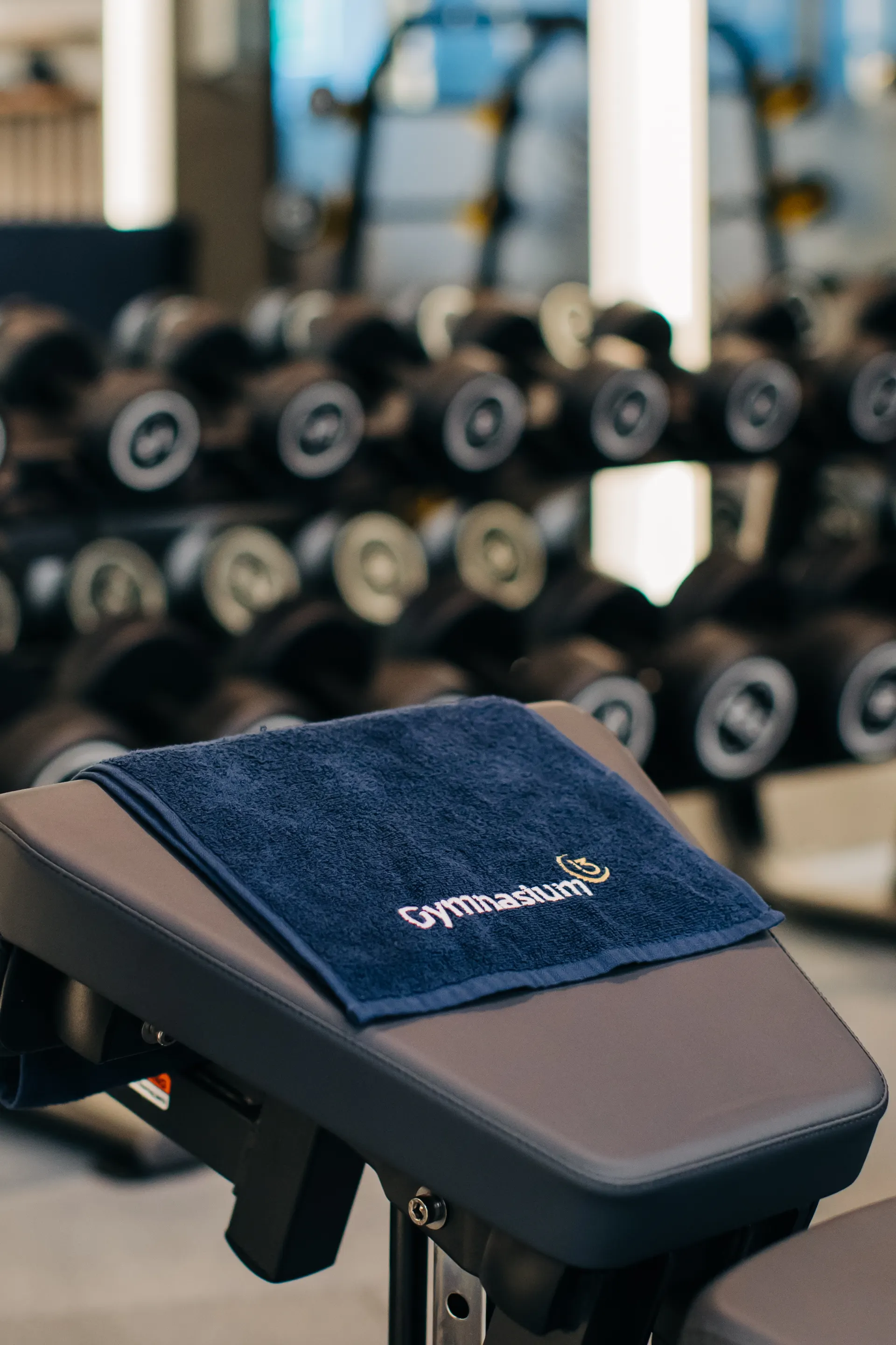 Gymnasium13 Gayrettepe facility and premium training equipment